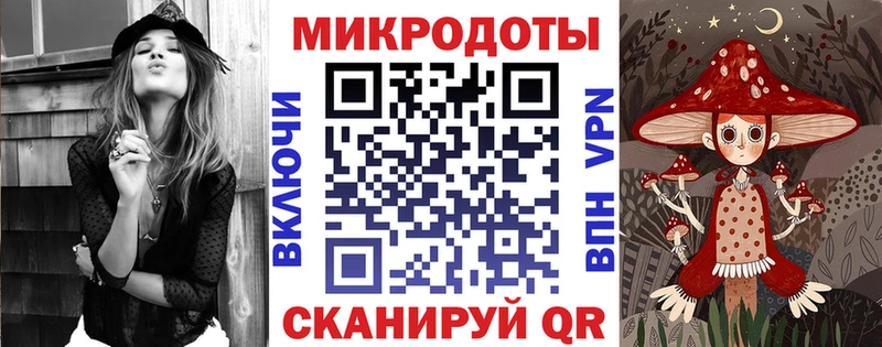 Галлюциногенные грибы Psilocybe  Купить закладки  Северск 